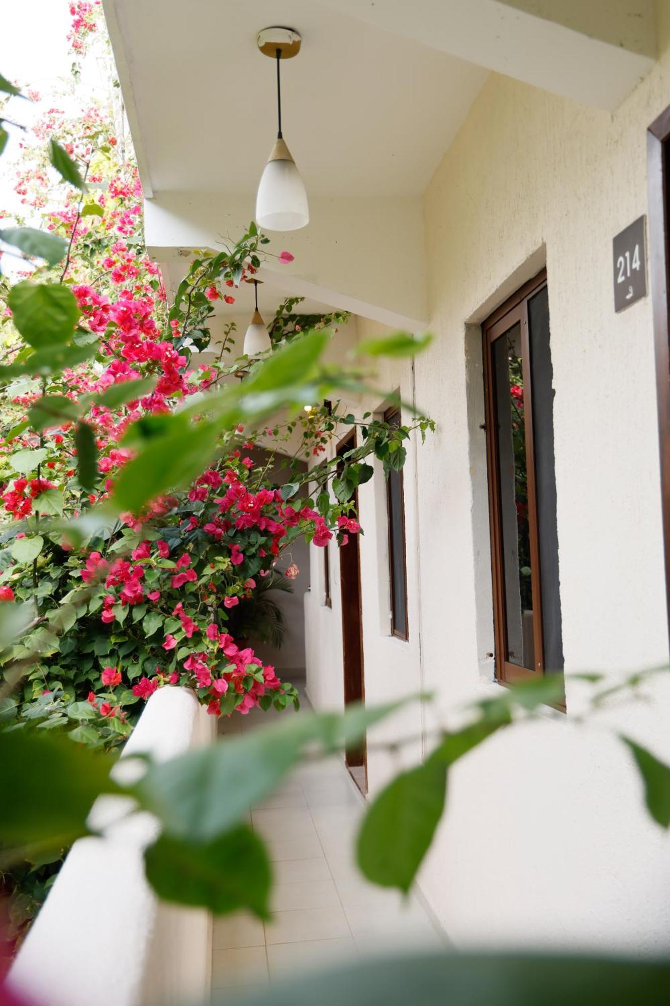Hotel Hulku Playa del Carmen Camera foto